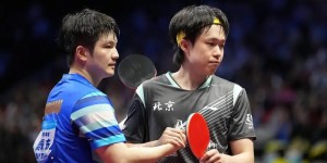 <?php the_title(); ?>